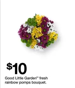 Target Good Little Garden fresh rainbow pomps bouquet offer