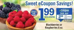 Price Chopper Blackberries or Raspberries 6 oz offer