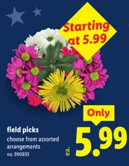 Lidl field picks offer