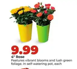 Hy-Vee 4 Rose offer