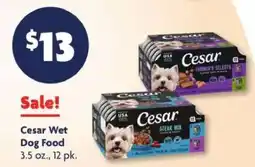 Family Dollar Cesar Wet Dog Food offer