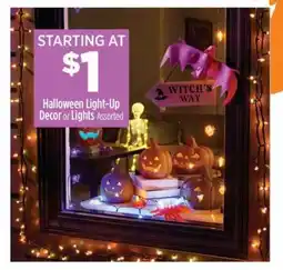 Dollar General Halloween Light-Up Decor or Lights Assorted offer