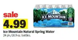 Meijer Ice Mountain Natural Spring Water offer