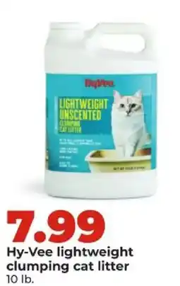 Hy-Vee Hy-Vee lightweight clumping cat litter offer