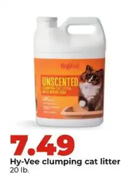 Hy-Vee Hy-Vee clumping cat litter offer