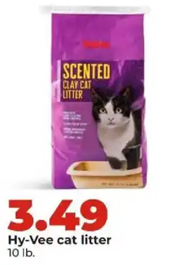 Hy-Vee Hy-Vee cat litter offer