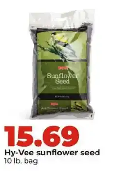 Hy-Vee Hy-Vee sunflower seed offer