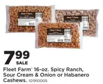 Mills Fleet Farm Fleet Farm Spicy Ranch, Sour Cream & Onion or Habanero Cashews offer