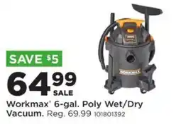 Mills Fleet Farm Workmax 6-gal. Poly Wet/Dry Vacuum offer