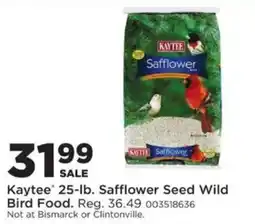 Mills Fleet Farm Kaytee safflower seed wild bird food offer