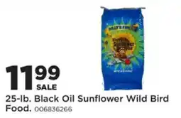 Mills Fleet Farm Dilly's Pink Black Oil Sunflower Wild Bird Food offer