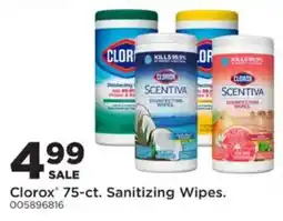 Mills Fleet Farm Clorox 75-ct. Sanitizing Wipes offer