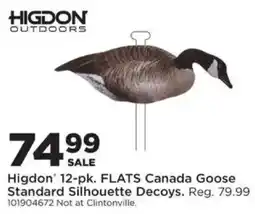 Mills Fleet Farm Higdon 12-pk. Flats Canada Goose Standard Silhouette Decoys offer