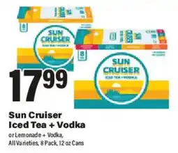 Big Y Sun Cruiser Iced Tea + Vodka offer