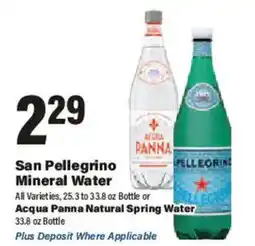 Big Y San Pellegrino Mineral Water offer
