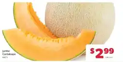 Family Fare Jumbo Cantaloupe offer