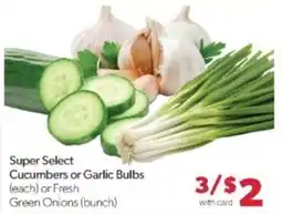 Family Fare Super Select Cucumbers or Garlic Bulbs or Fresh Green Onions offer