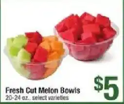 Star Market Fresh Cut Melon Bowls offer