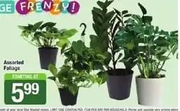 Star Market Assorted Foliage offer