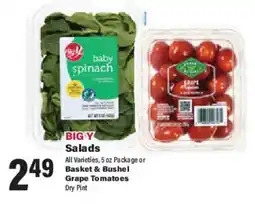 Big Y Big Y Salads offer
