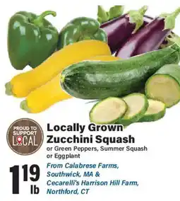 Big Y Locally Grown Zucchini Squash offer