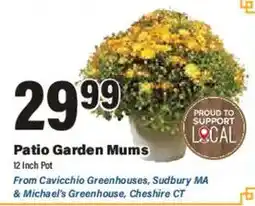 Big Y Patio Garden Mums offer
