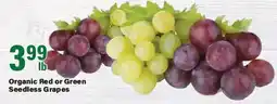 Big Y Organic Red or Green Seedless Grapes offer