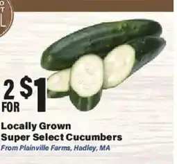 Big Y Locally Grown Super Select Cucumbers offer