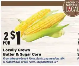 Big Y Locally Grown Butter & Sugar Corn offer
