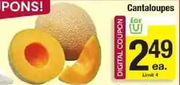 Star Market Cantaloupes offer
