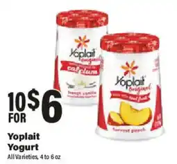 Big Y Yoplait Yogurt offer