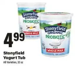 Big Y Stonyfield Yogurt Tub offer