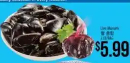 Hmart Live Mussels offer