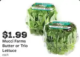Fareway Mucci Farms Butter or Trio Lettuce offer