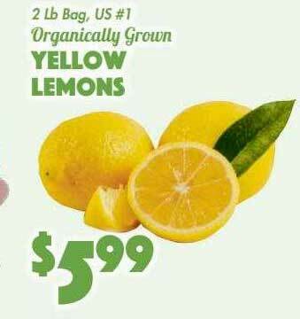 The Food Emporium Yellow Lemons offer