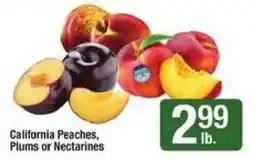 Shaw's California Peaches, Plums or Nectarines offer