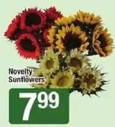 Shaw's Novelty Sunflowers offer