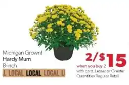 Family Fare Michigan Grown! Hardy Mum offer