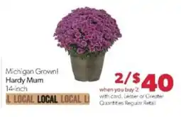 Family Fare Michigan Grown! Hardy Mum offer