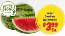 Food Giant Farm Fresh Produce Sweet Seedless Watermelon offer