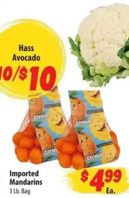 Food Giant Hass Avocado offer