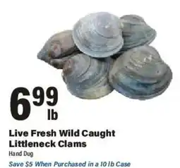 Big Y Hand Dug Live Fresh Wild Caught Littleneck Clams offer