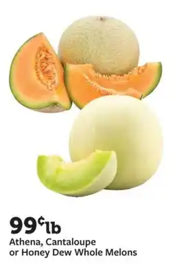 Fareway Athena, Cantaloupe or Honey Dew Whole Melons offer