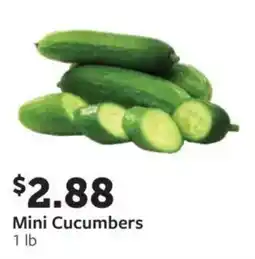 Fareway Mini Cucumbers offer