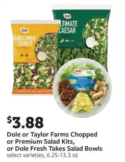 Fareway Dole or Taylor Farms Chopped or Premium Salad Kits, or Dole Fresh Takes Salad Bowls offer