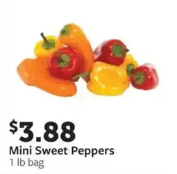 Fareway Mini Sweet Peppers offer