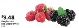 Fareway Raspberries and Blackberries offer