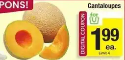 Shaw's Cantaloupes offer