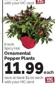Harris Teeter Ornamental Pepper Plants offer