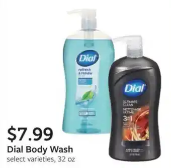 Dial Body Wash
